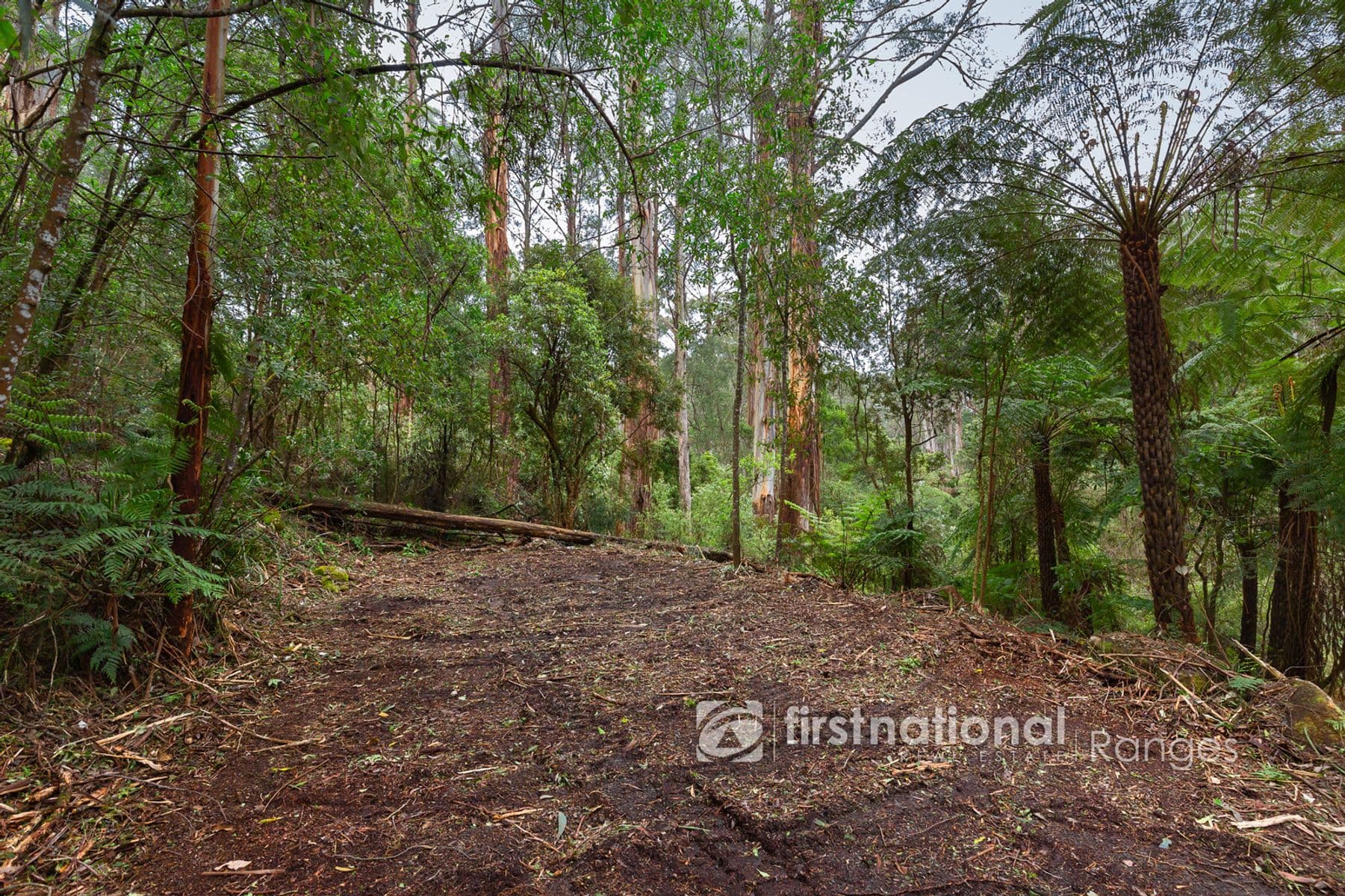 70 SASSAFRAS CREEK ROAD, Sherbrooke, VIC 3789, Sherbrooke - Thumbnail 6