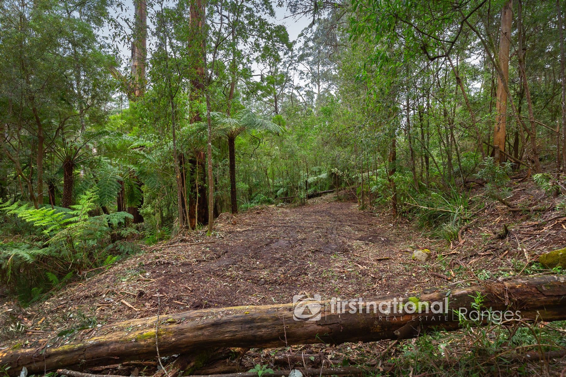 70 SASSAFRAS CREEK ROAD, Sherbrooke, VIC 3789, Sherbrooke - Thumbnail 7
