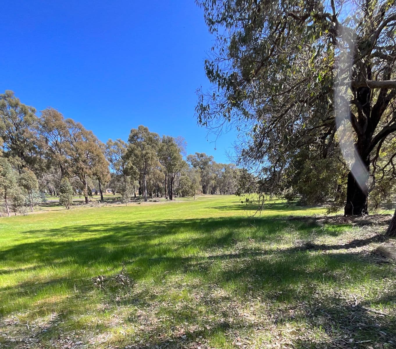 86 Fairway Place, Boddington WA 6390, Boddington - Thumbnail 2