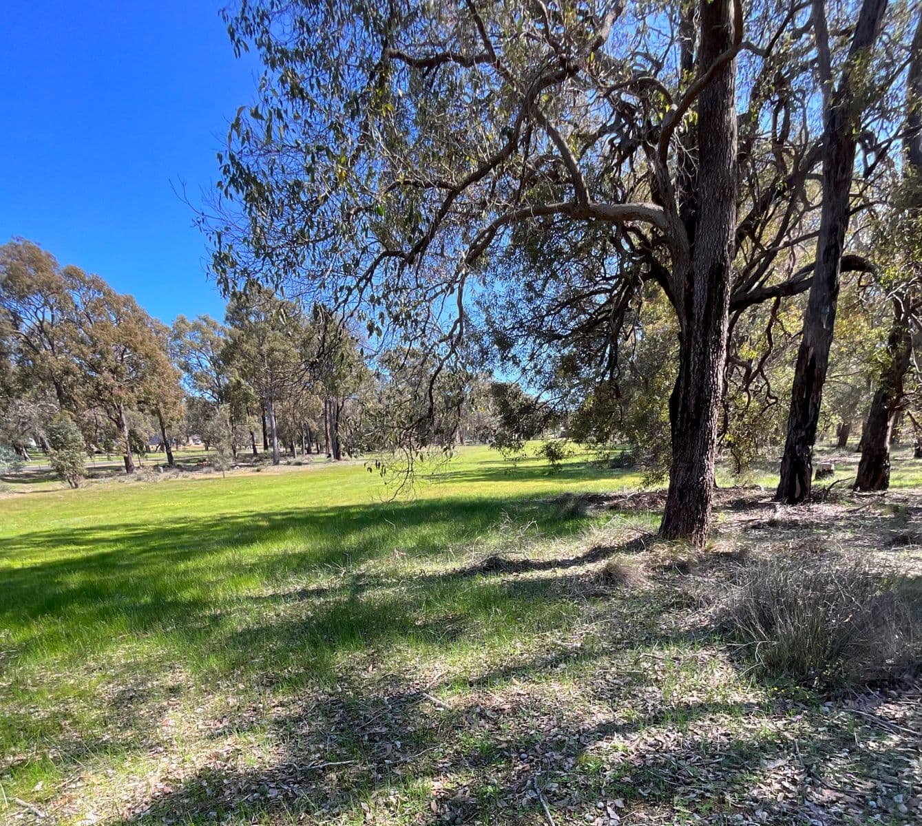 86 Fairway Place, Boddington WA 6390, Boddington - Thumbnail 3