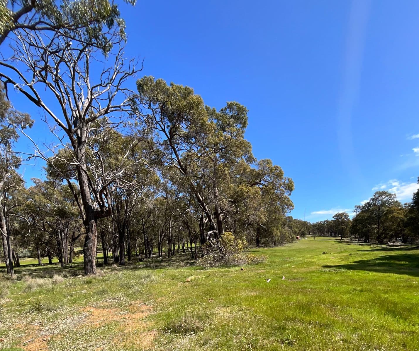 86 Fairway Place, Boddington WA 6390, Boddington - Thumbnail 4
