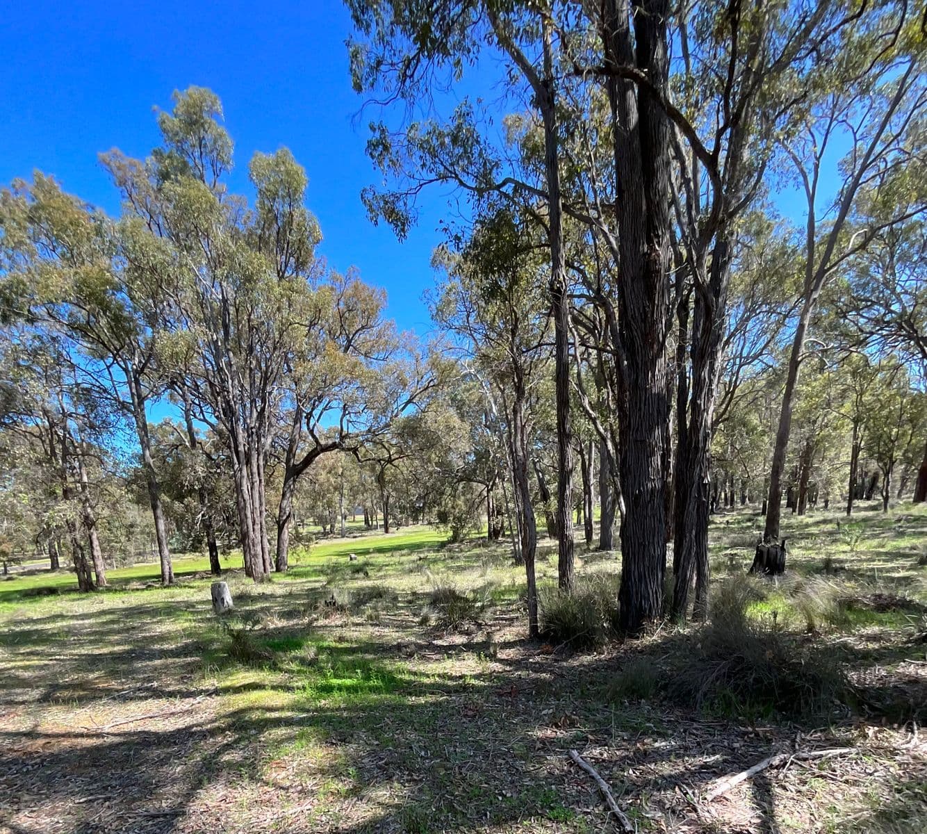 86 Fairway Place, Boddington WA 6390, Boddington - Thumbnail 5
