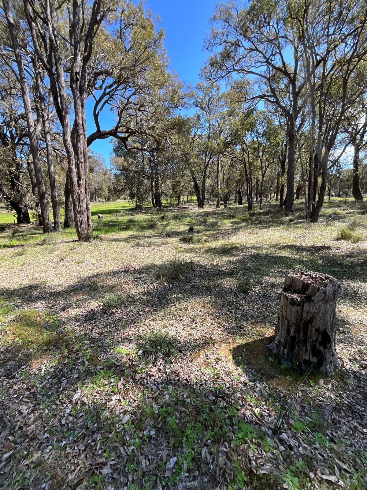 86 Fairway Place, Boddington WA 6390, Boddington - Thumbnail 6
