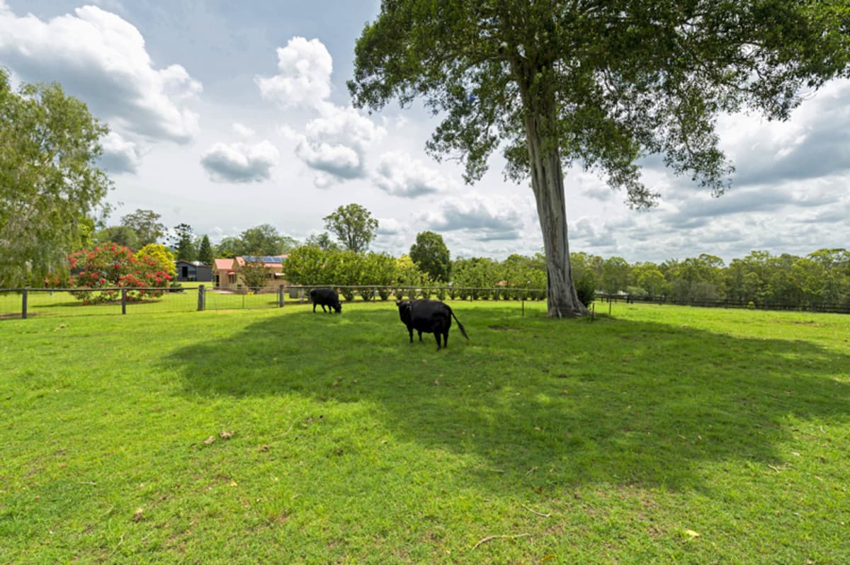34-42 Lucas Road, Tamborine QLD 4270, Tamborine - Thumbnail 4