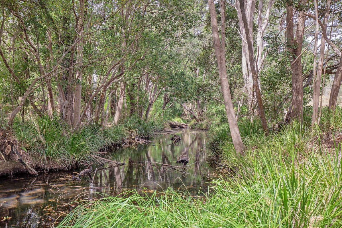 172 Cedar Creek Road, Cedar Creek QLD 4207, Cedar Creek - Image 1