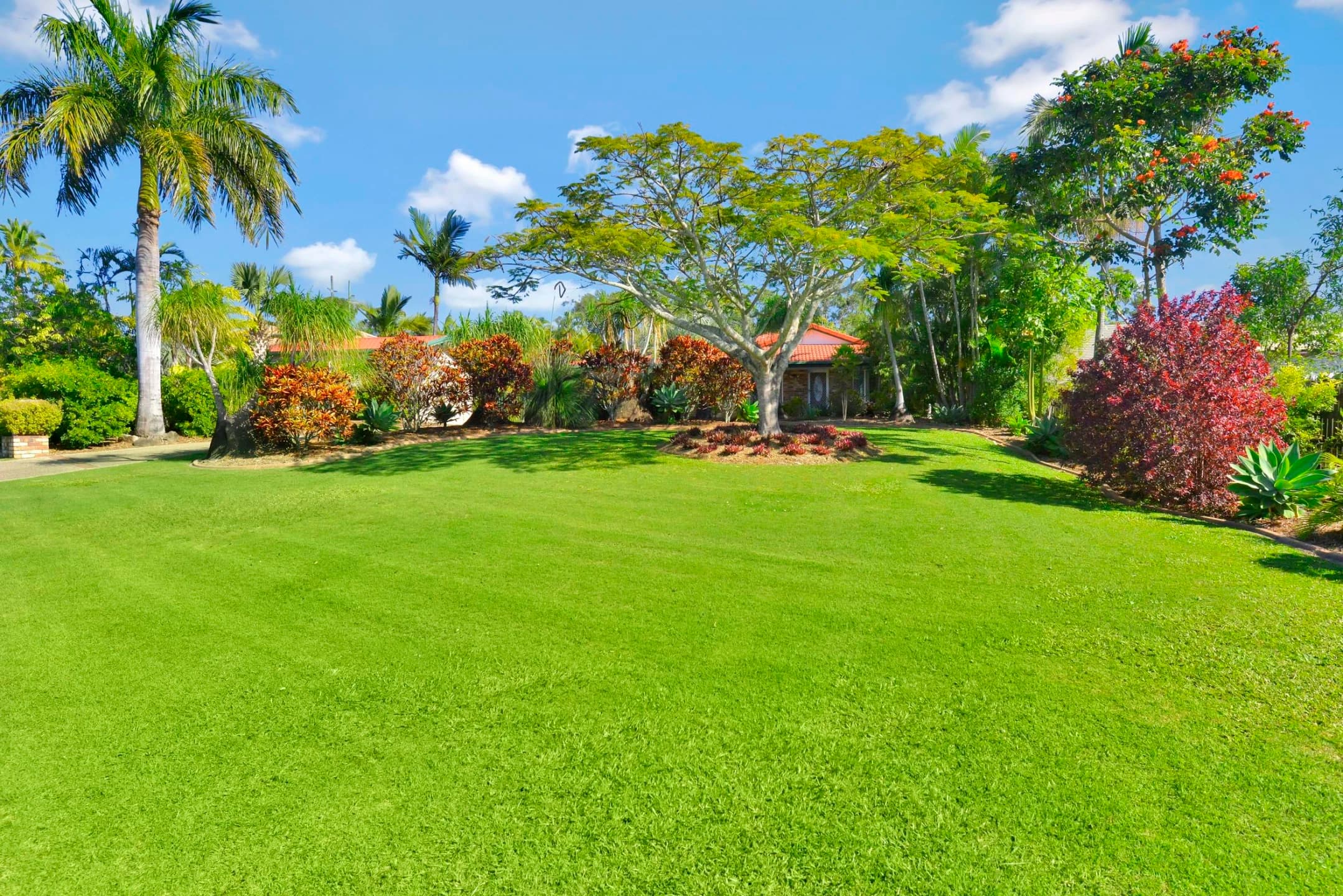 80 Podinga Circuit, Ormeau QLD 4208, Ormeau - Image 1