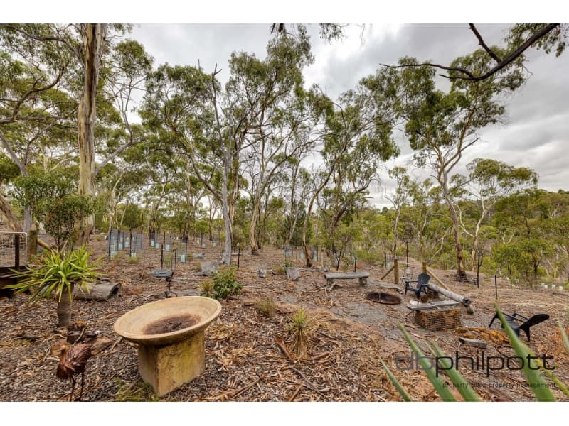 215 Goldfields Road, Barossa Goldfields, Barossa Goldfields - Thumbnail 5