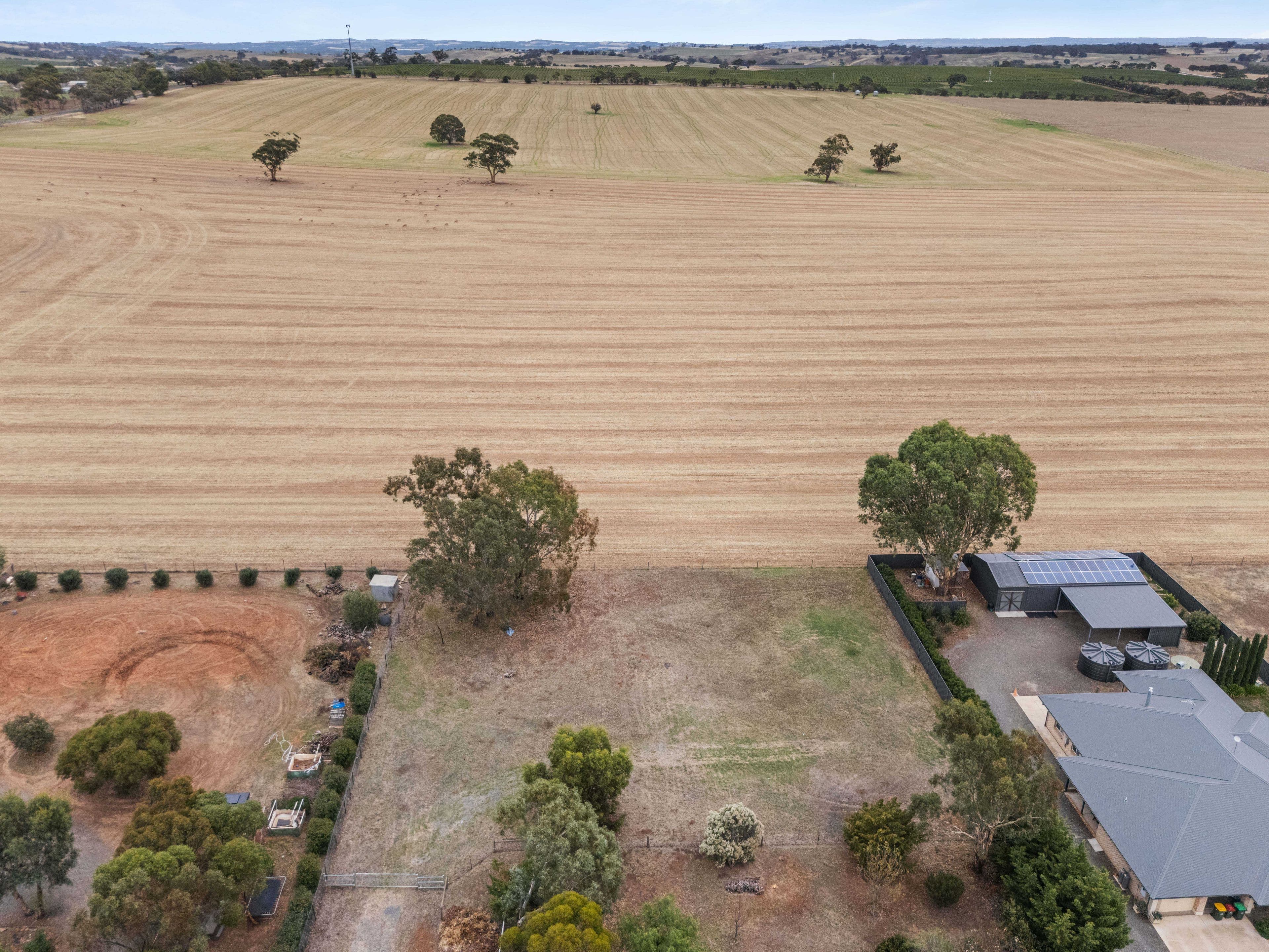 17 Altmann Street, Moculta SA 5353, Moculta - Thumbnail 8