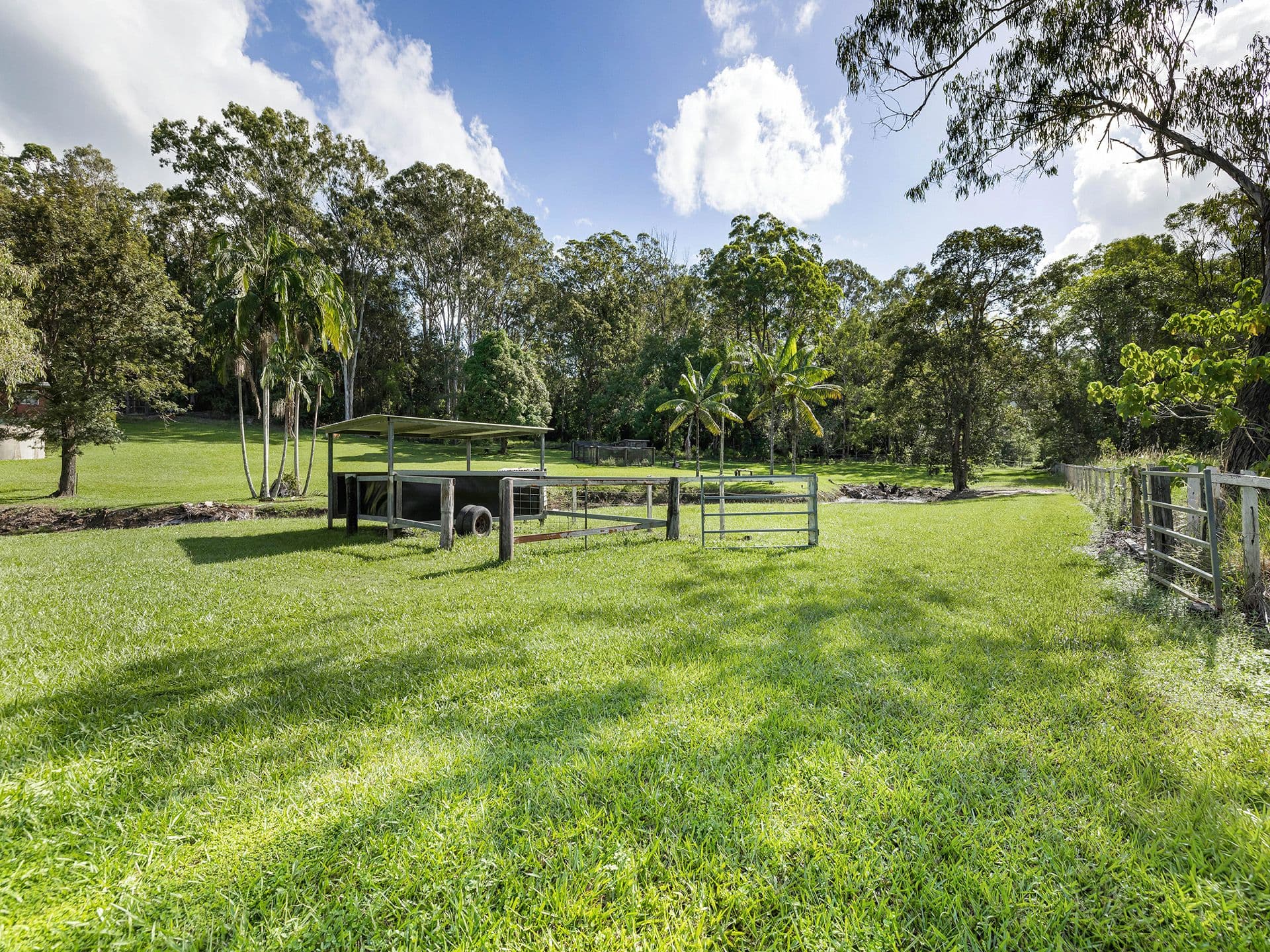 14 Macdonald Road, Palmwoods QLD 4555, Palmwoods - Thumbnail 5