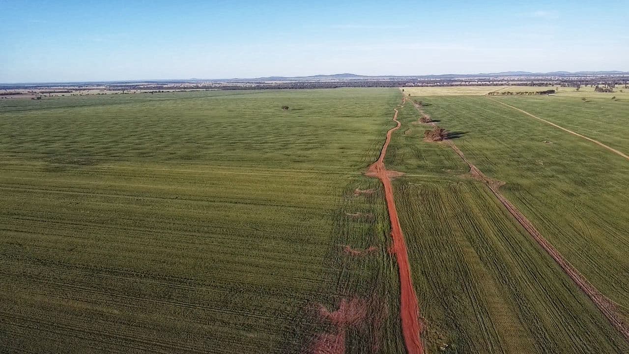 Rosewood Aggregation 7033 The Gipps Way, Condobolin NSW 2877, Condobolin - Thumbnail 4