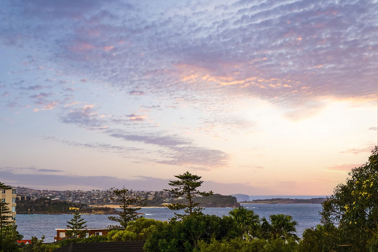 8/6 College Street, Manly, Manly - Thumbnail 6