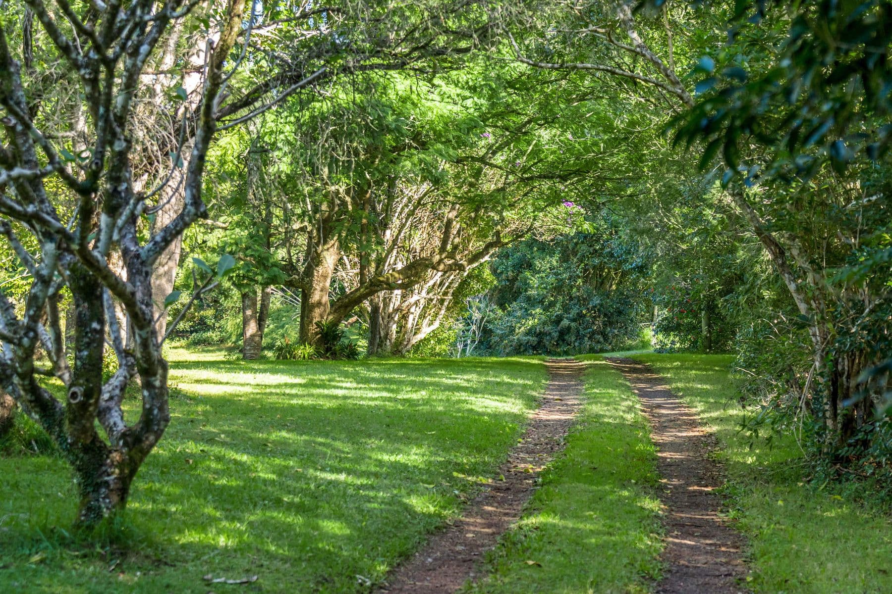 191 Fletcher Road, Dunoon - Thumbnail 6