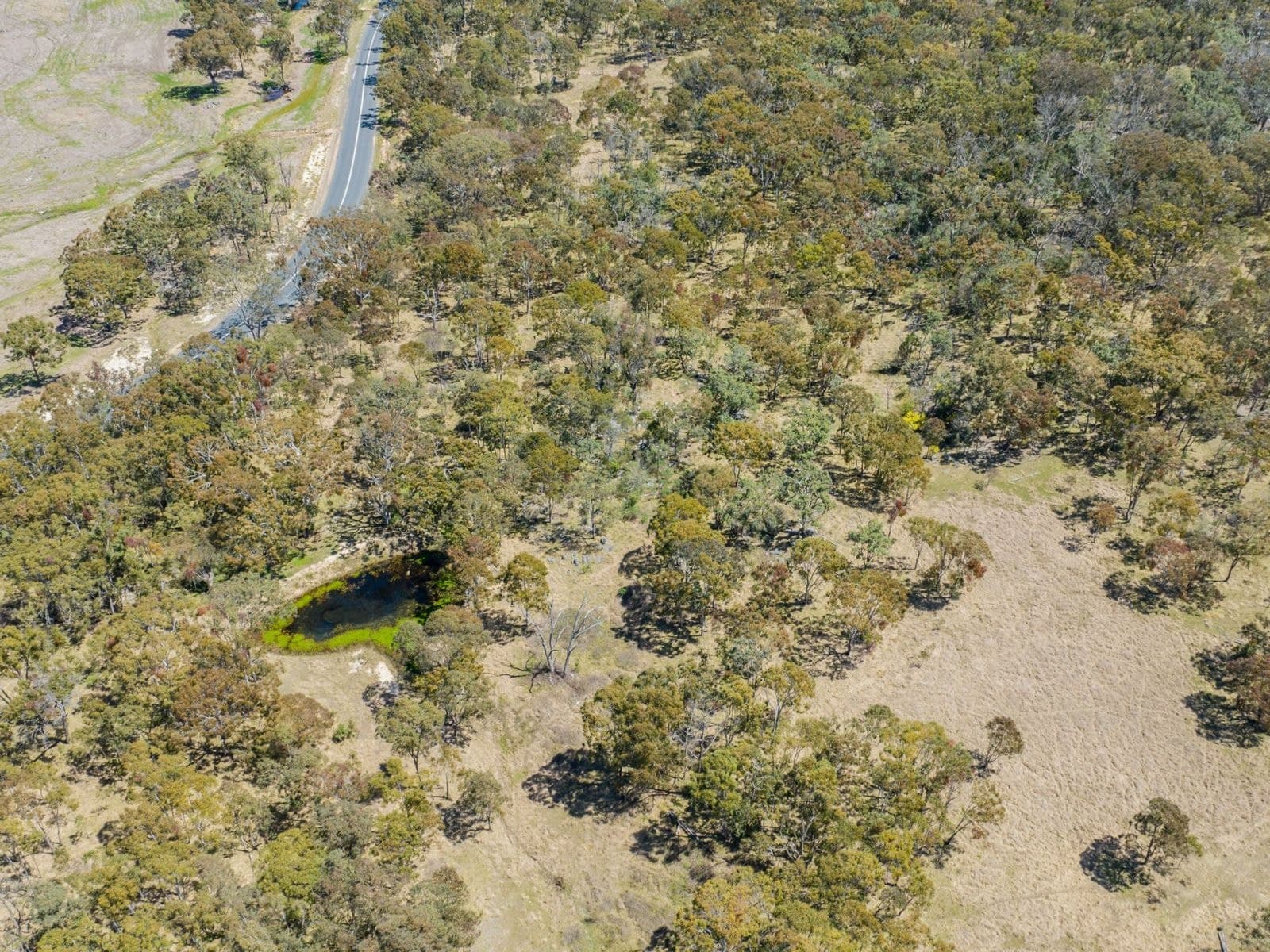 Lots 2, 136 & 183 New England Highway, Tenterfield, Tenterfield - Thumbnail 5