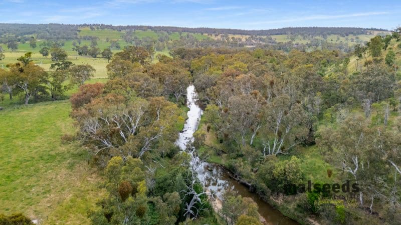 173 Widdicombe Road Bahgallah VIC, Bahgallah - Thumbnail 6