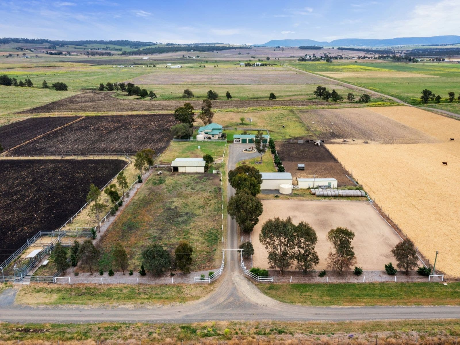 347 Murphys Road, Swan Creek - Thumbnail 5