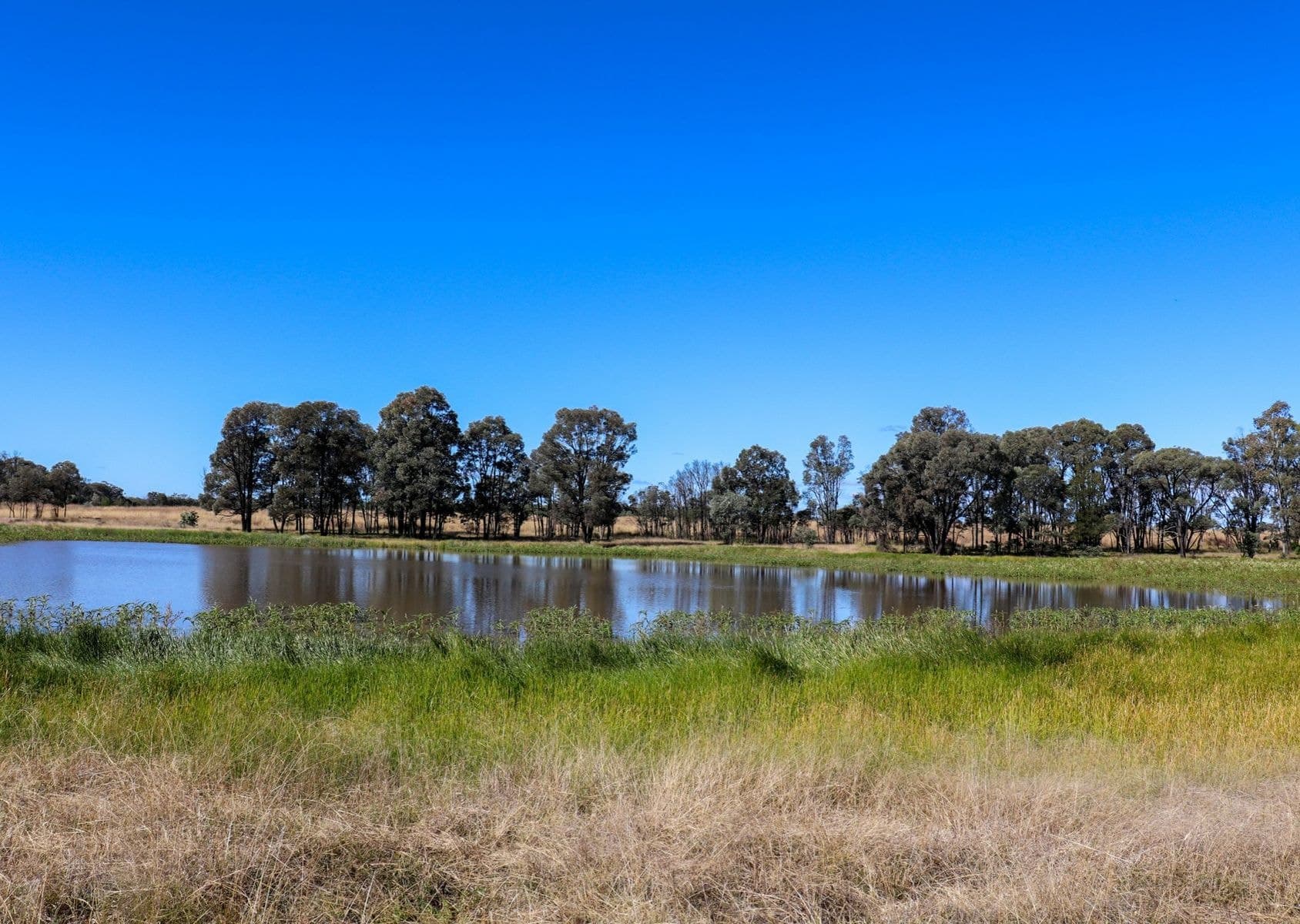 888 Boondandilla Rd, Western Creek - Thumbnail 5