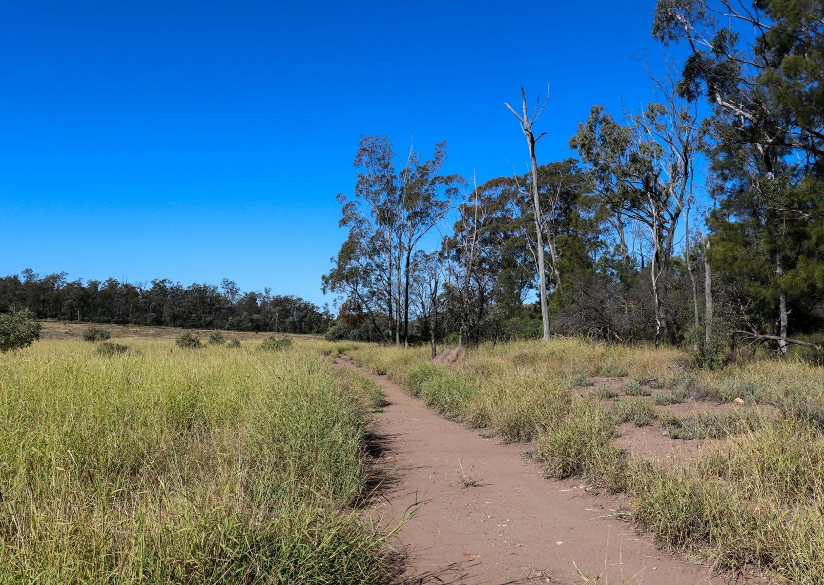 888 Boondandilla Rd, Western Creek - Thumbnail 8