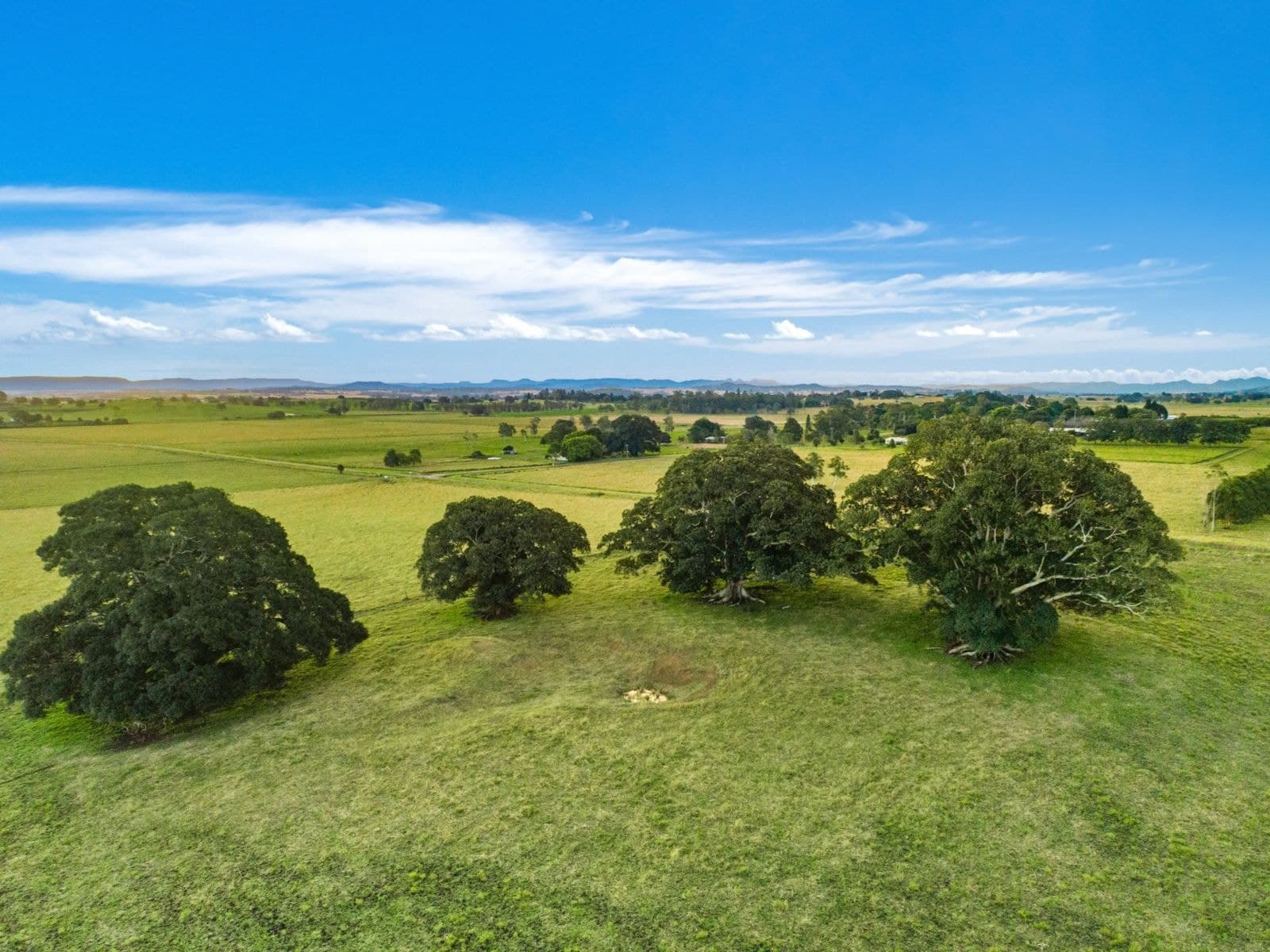 835 Reynolds Road, Backmede - Thumbnail 4