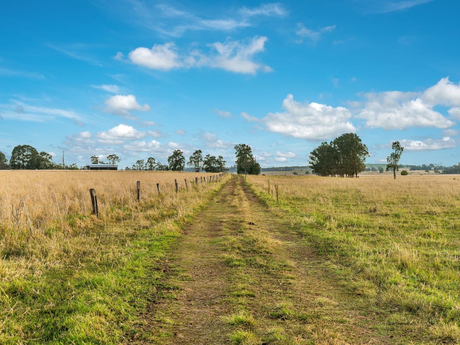 835 Reynolds Road, Backmede - Thumbnail 8