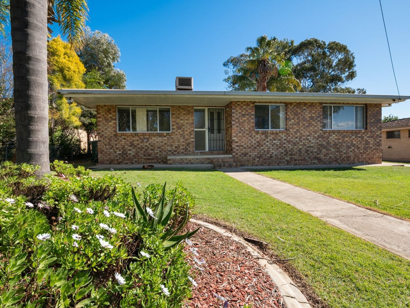 5 Quinn Street, Warwick - Thumbnail 4