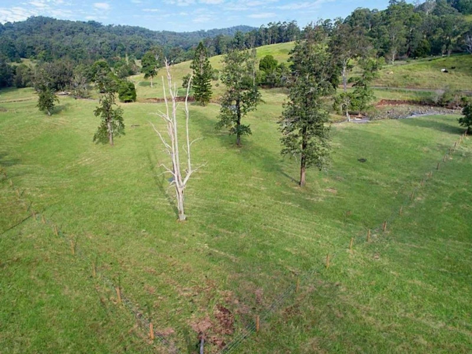 Lot 13, 21 Lot 13, 21 Grimstons Road, Theresa Creek - Thumbnail 7