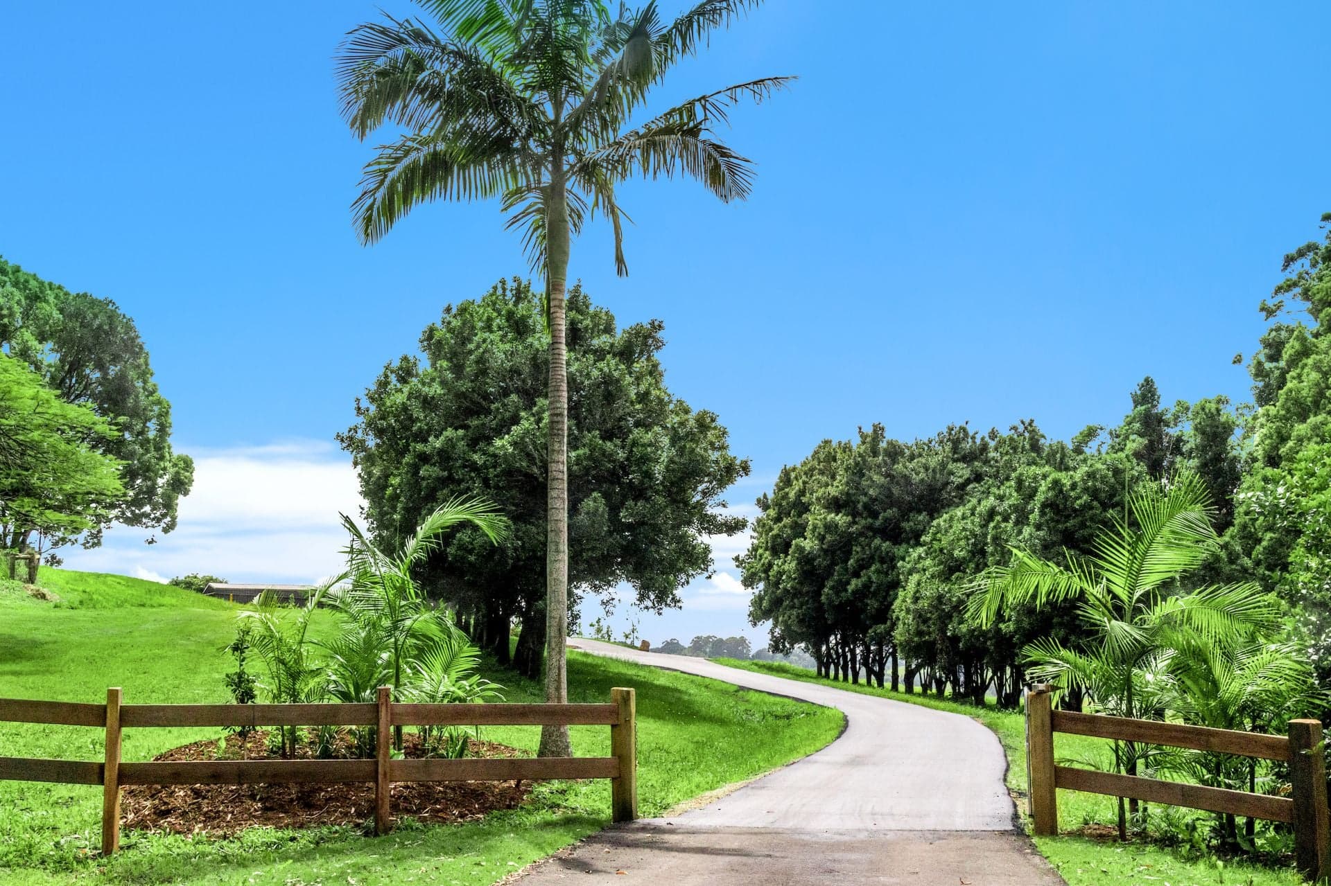 362 Coorabell Road, Coorabell NSW, Coorabell - Image 1