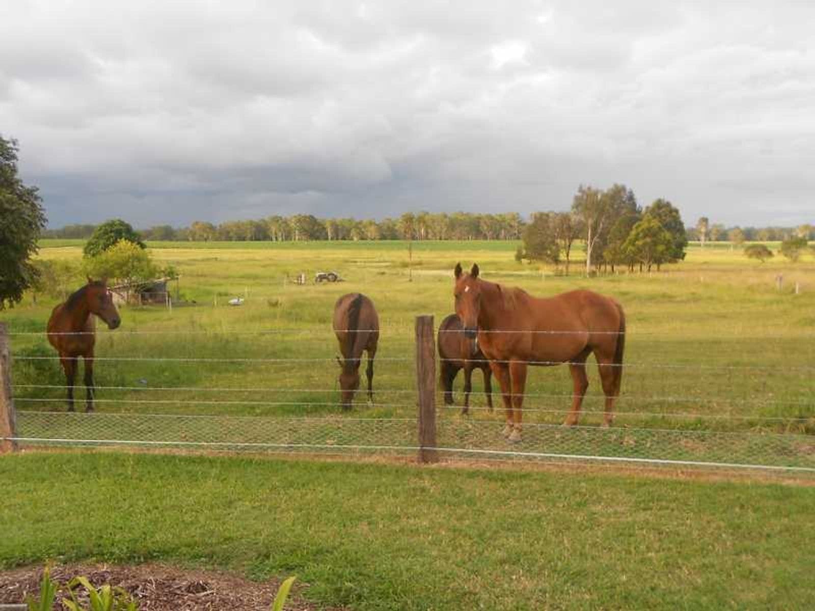 325 Fogwells Rd YORKLEA via, Casino - Thumbnail 7