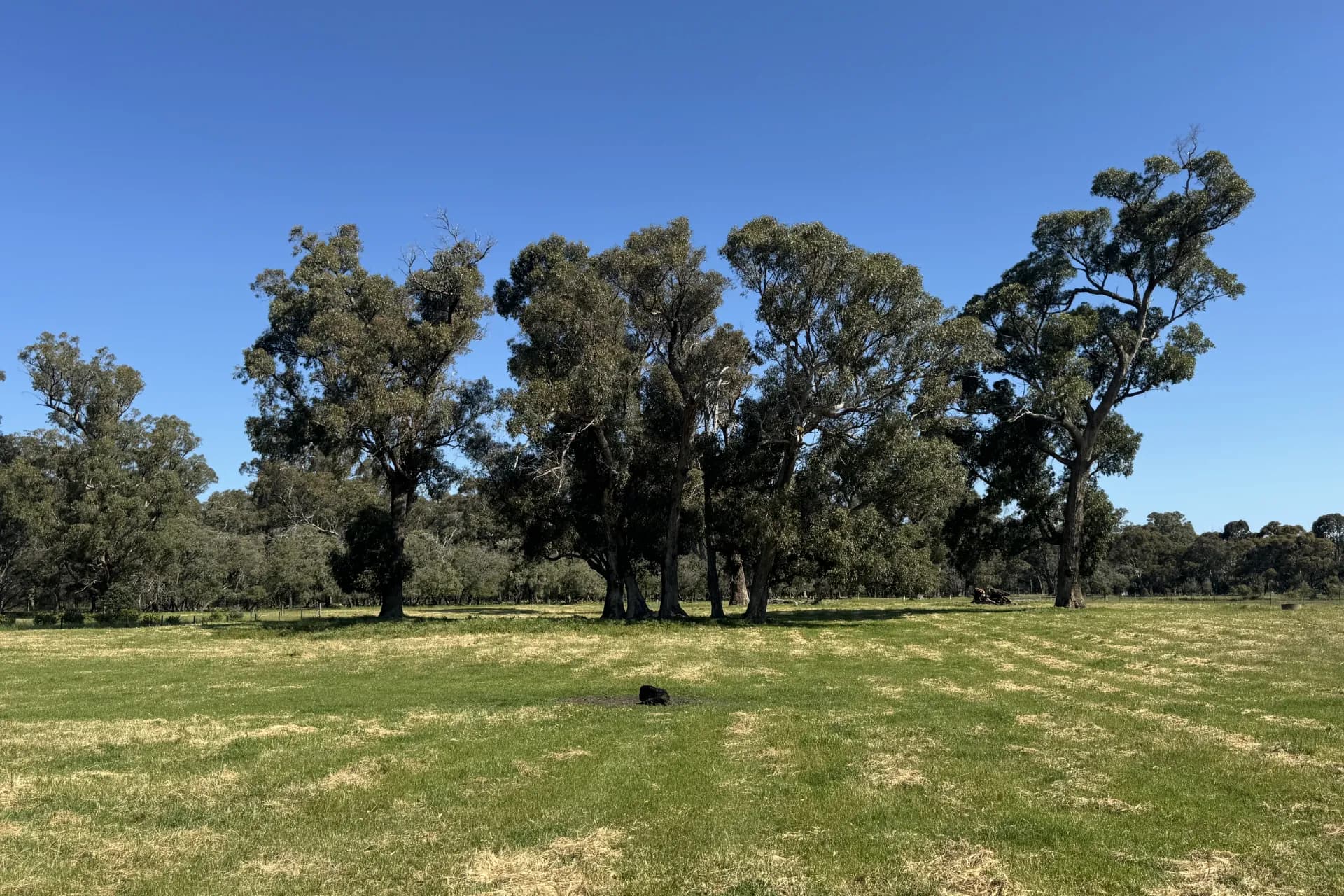Lot 1 Ludlow Road North, Forrest Beach - Thumbnail 3