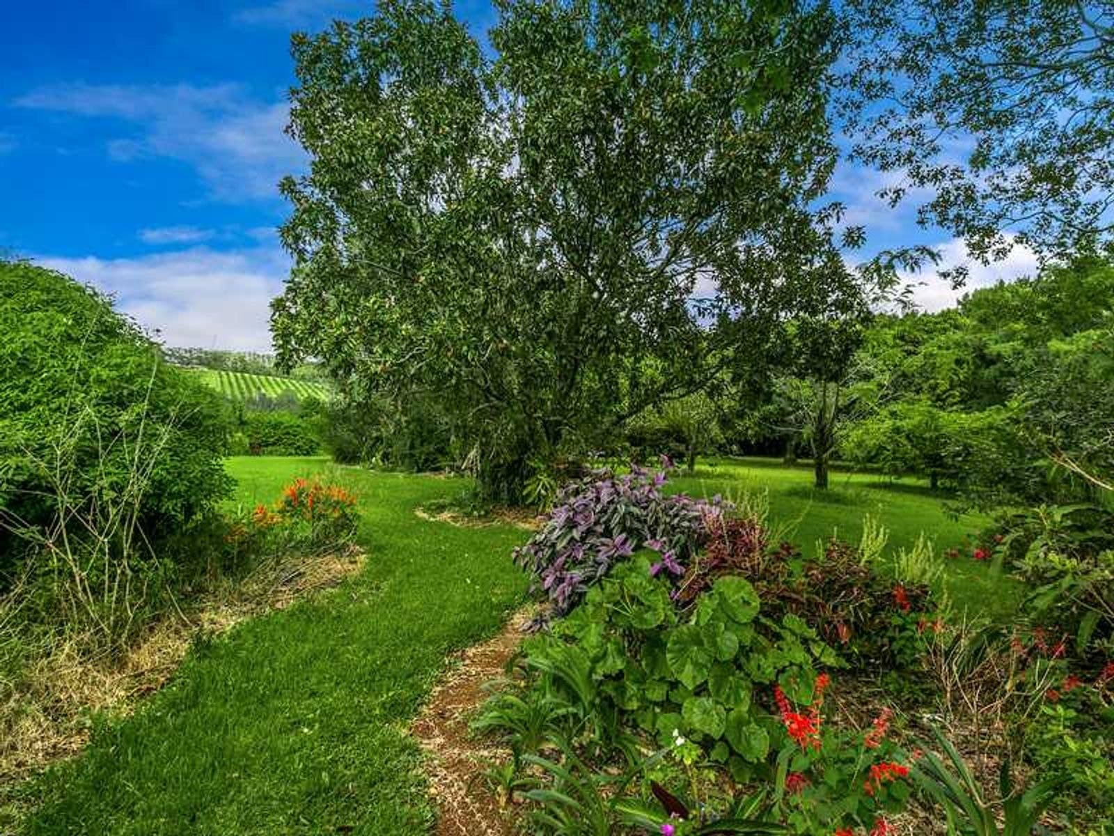 1035B Hinterland Way, Bangalow - Thumbnail 6