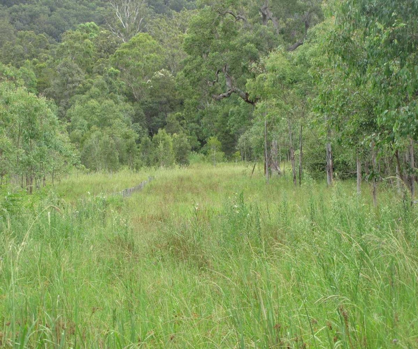 Sweeneys Phillips Swamp Road, Busbys Flat - Thumbnail 7