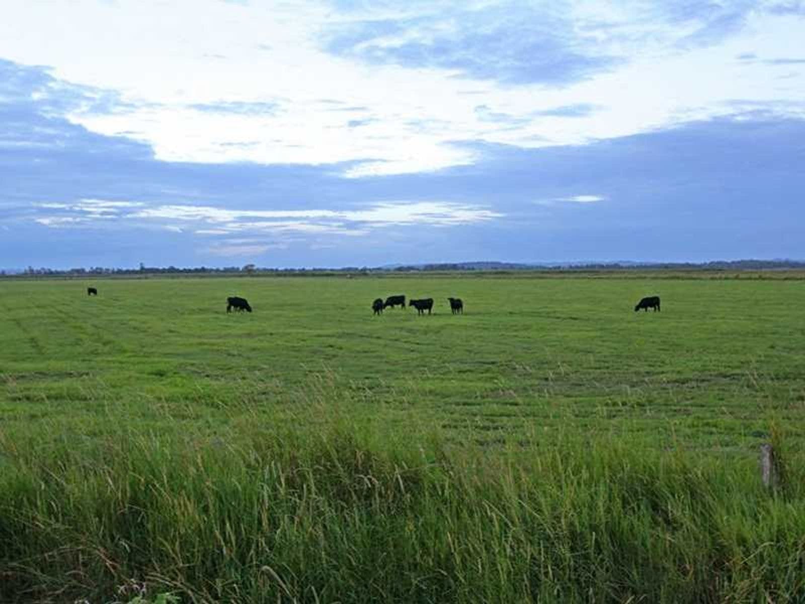 247 McBrien Road, East Coraki - Thumbnail 5