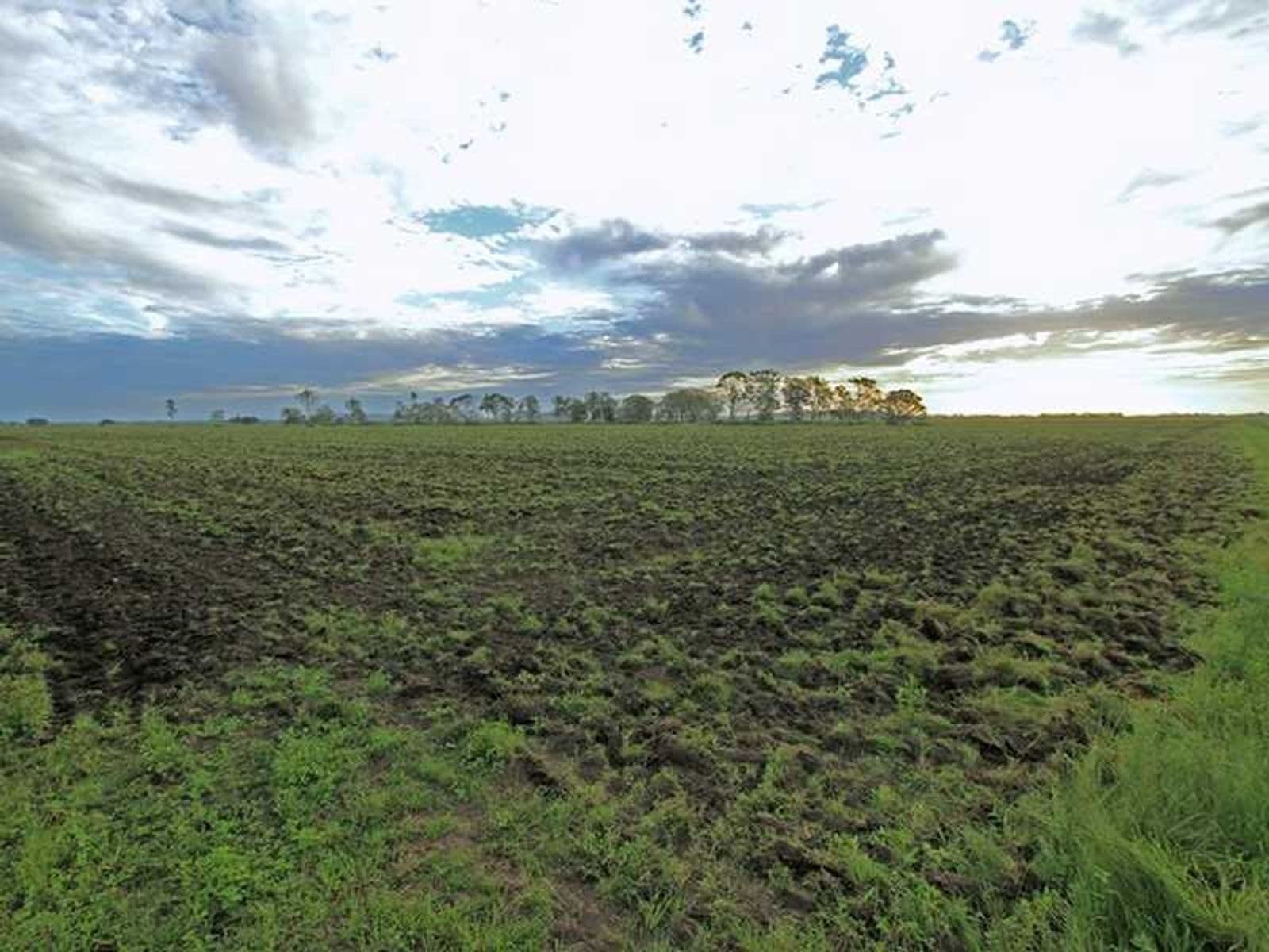 247 McBrien Road, East Coraki - Thumbnail 6