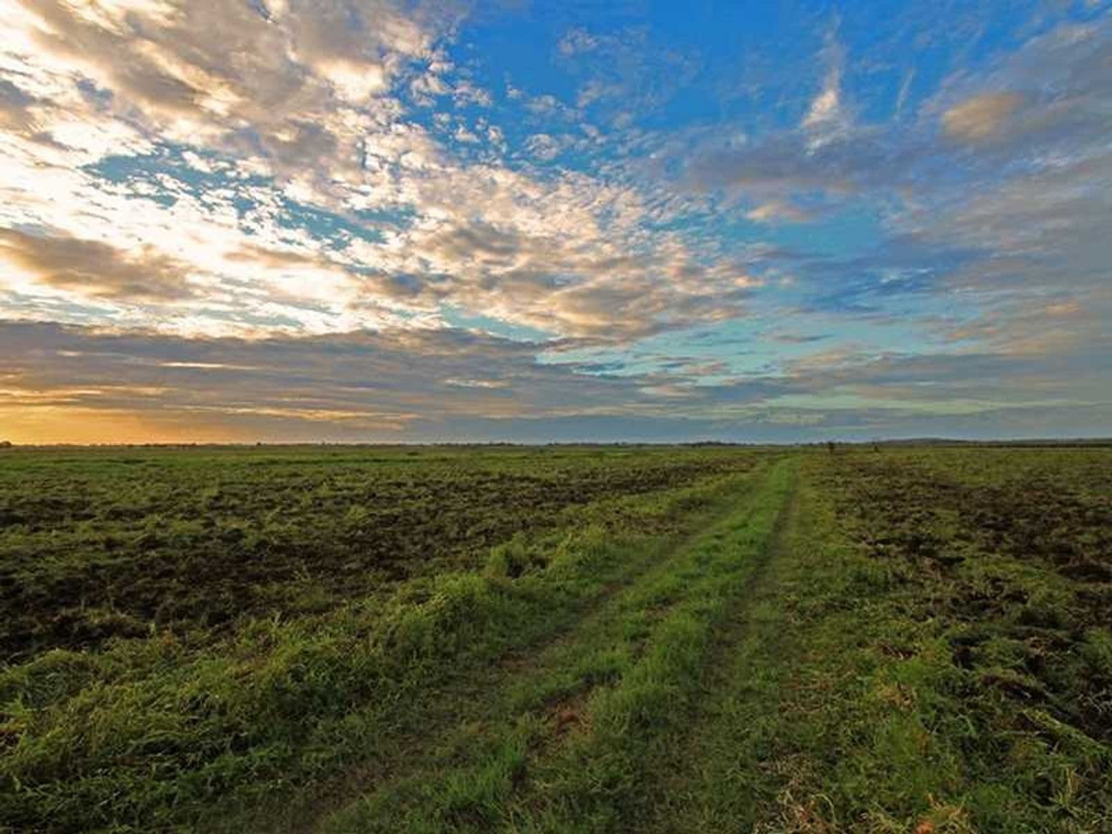 247 McBrien Road, East Coraki - Thumbnail 7