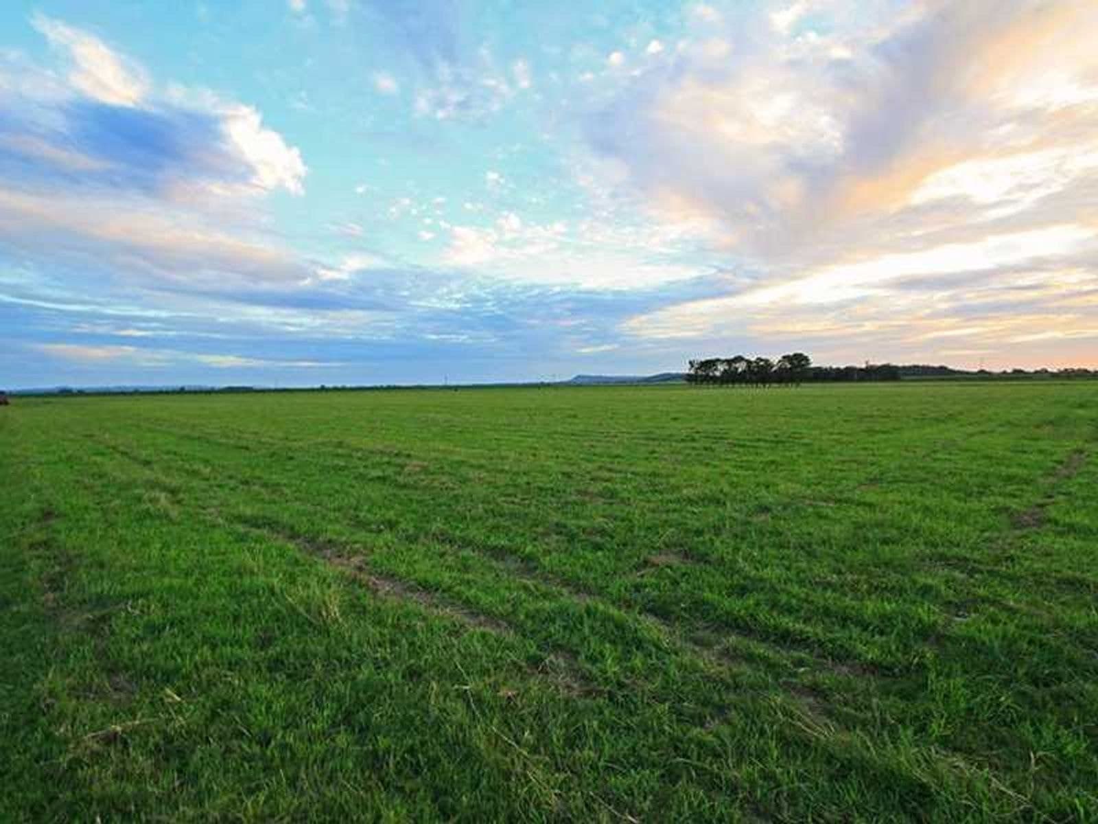 247 McBrien Road, East Coraki - Thumbnail 8
