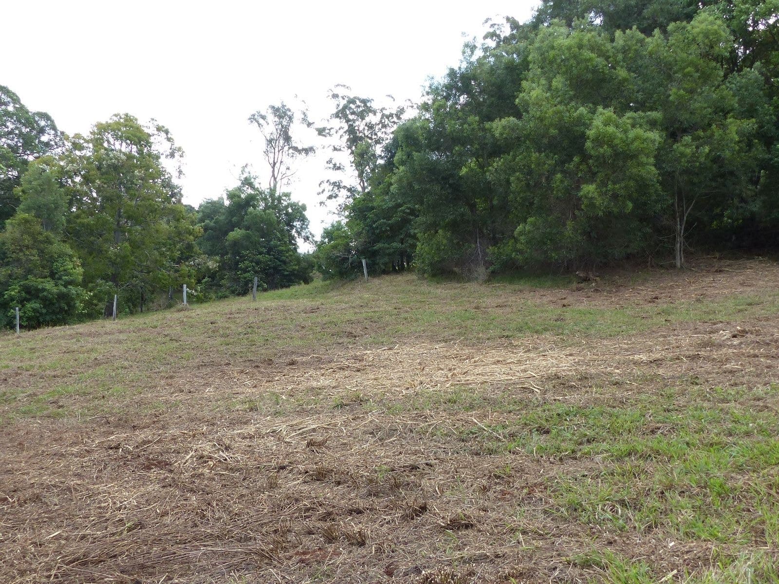 Lot 1 Lot 1 Fox Road, Rosebank - Thumbnail 5
