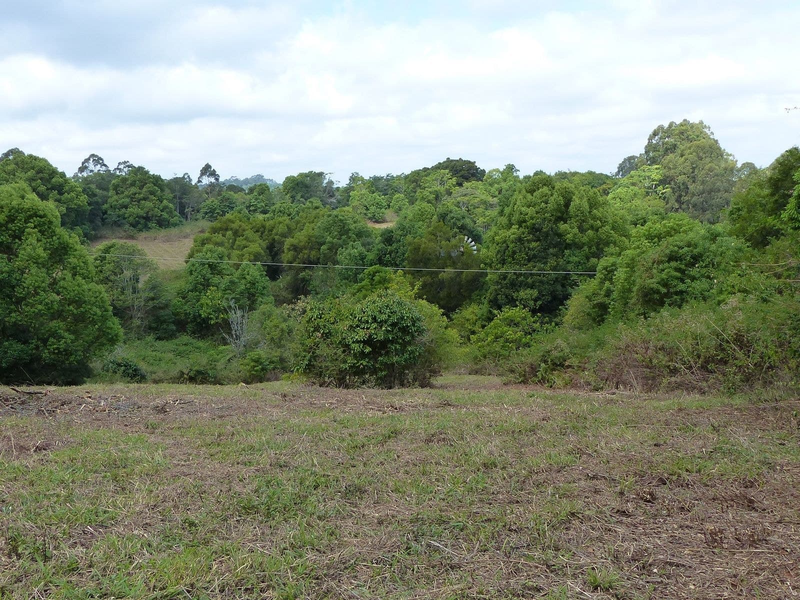 Lot 1 Lot 1 Fox Road, Rosebank - Thumbnail 6