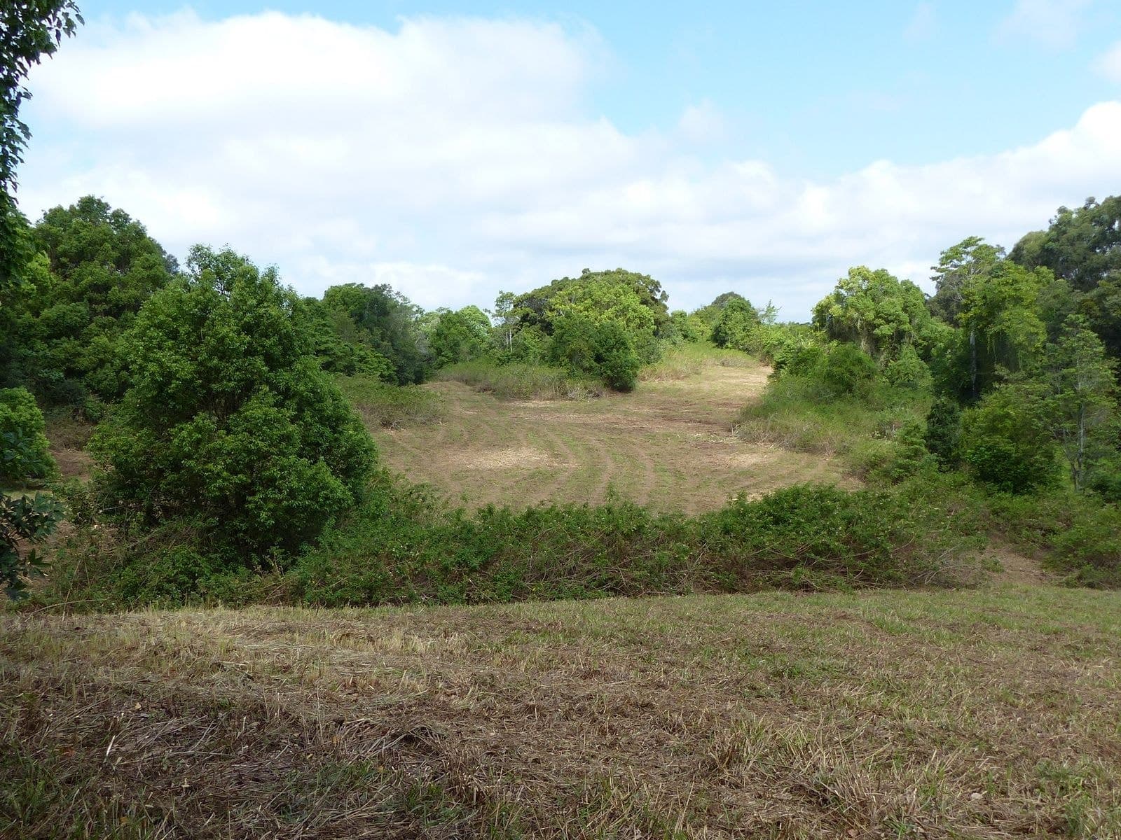 Lot 1 Lot 1 Fox Road, Rosebank - Thumbnail 7