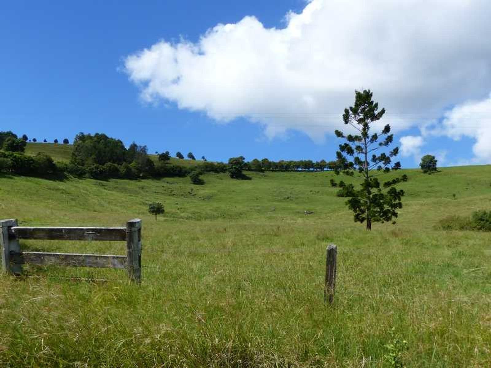 102 Fairfull Road, Numulgi - Thumbnail 8