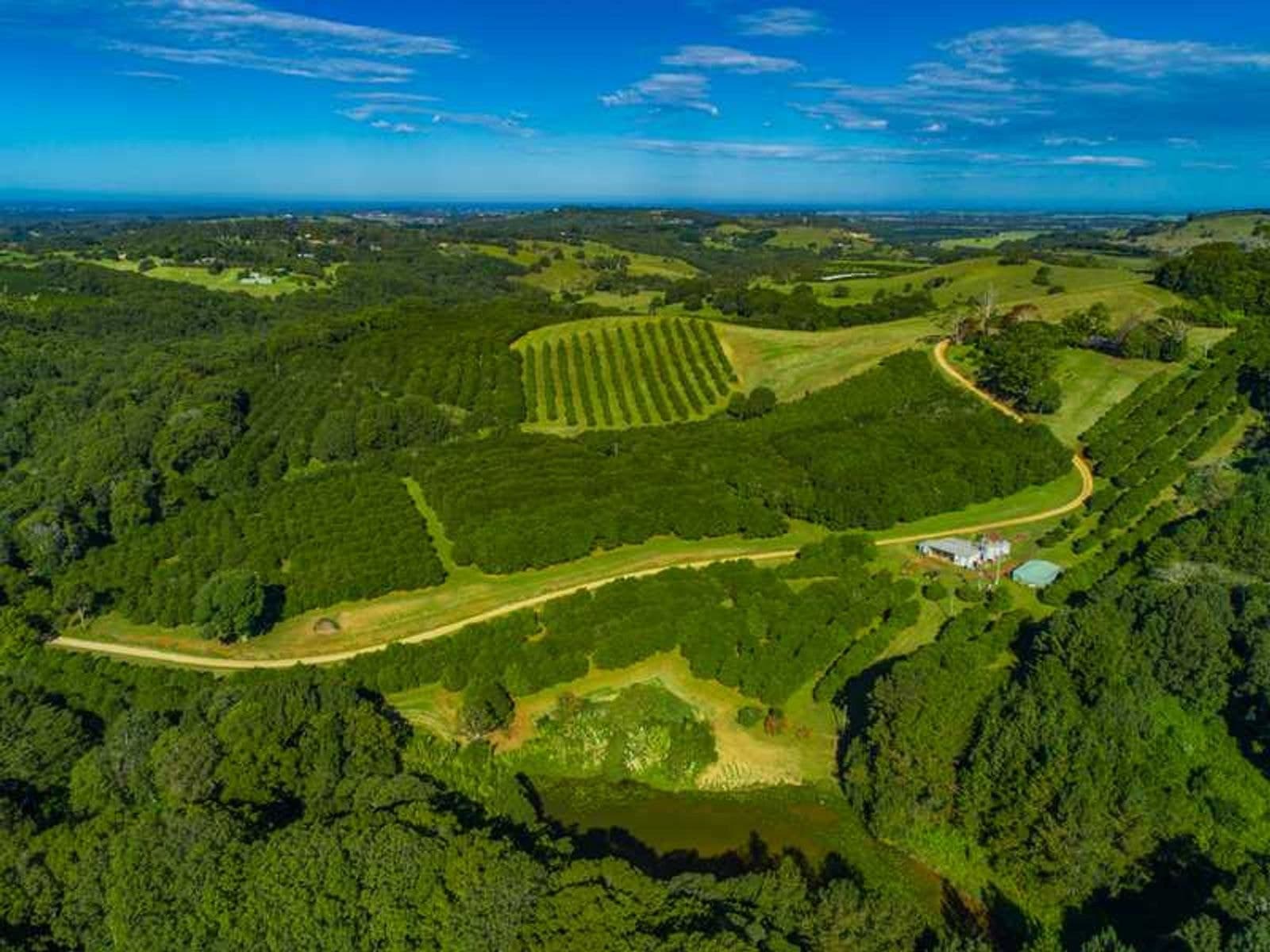 325 Houghlahans Creek Road, Teven - Thumbnail 4