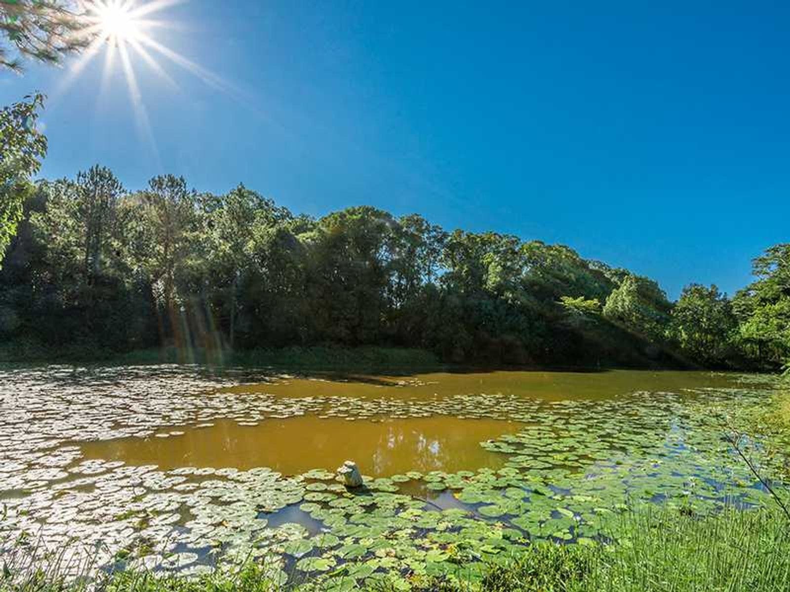 325 Houghlahans Creek Road, Teven - Thumbnail 8