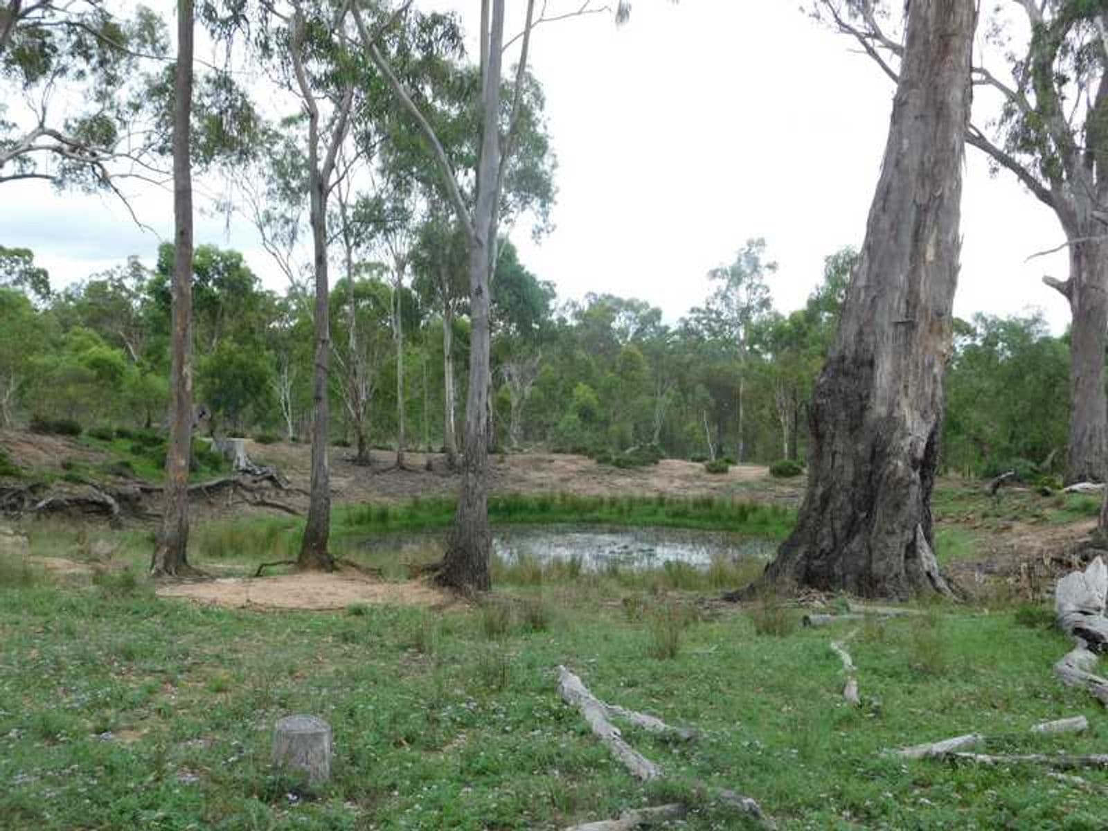 Lot 105 Yanky Gully Road, Warwick - Thumbnail 7