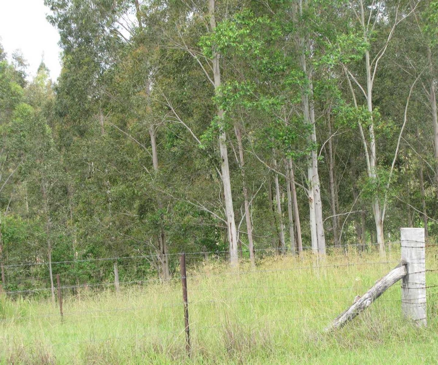 873 Ewingar Road, Ewingar - Thumbnail 6