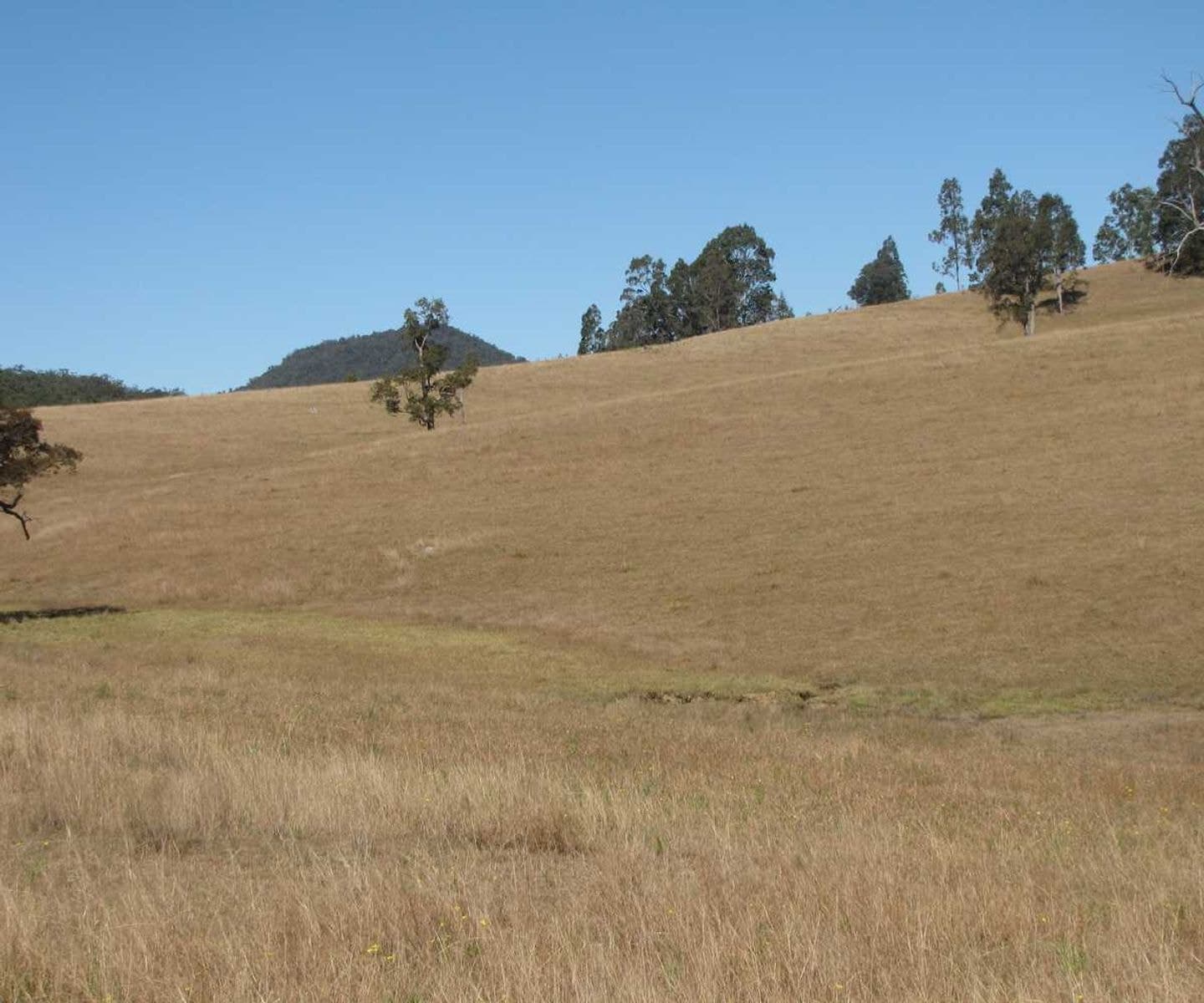 Lot 51 Deep Creek Road, Baryulgil - Thumbnail 6