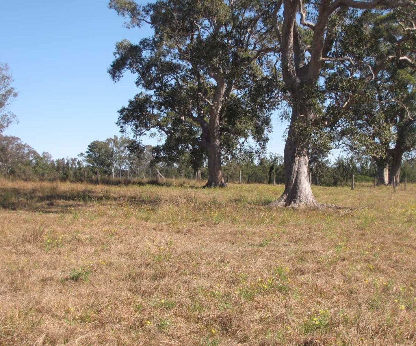 Lot 51 Deep Creek Road, Baryulgil - Thumbnail 8