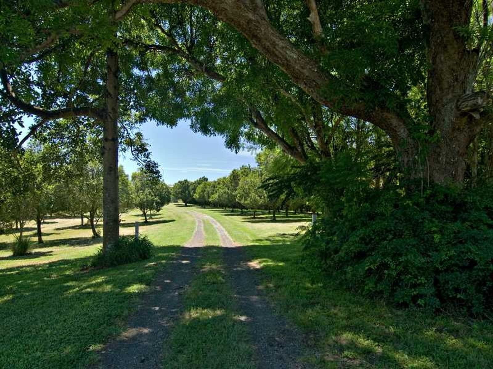 472 Cowlong Road, McLeans Ridges - Thumbnail 8