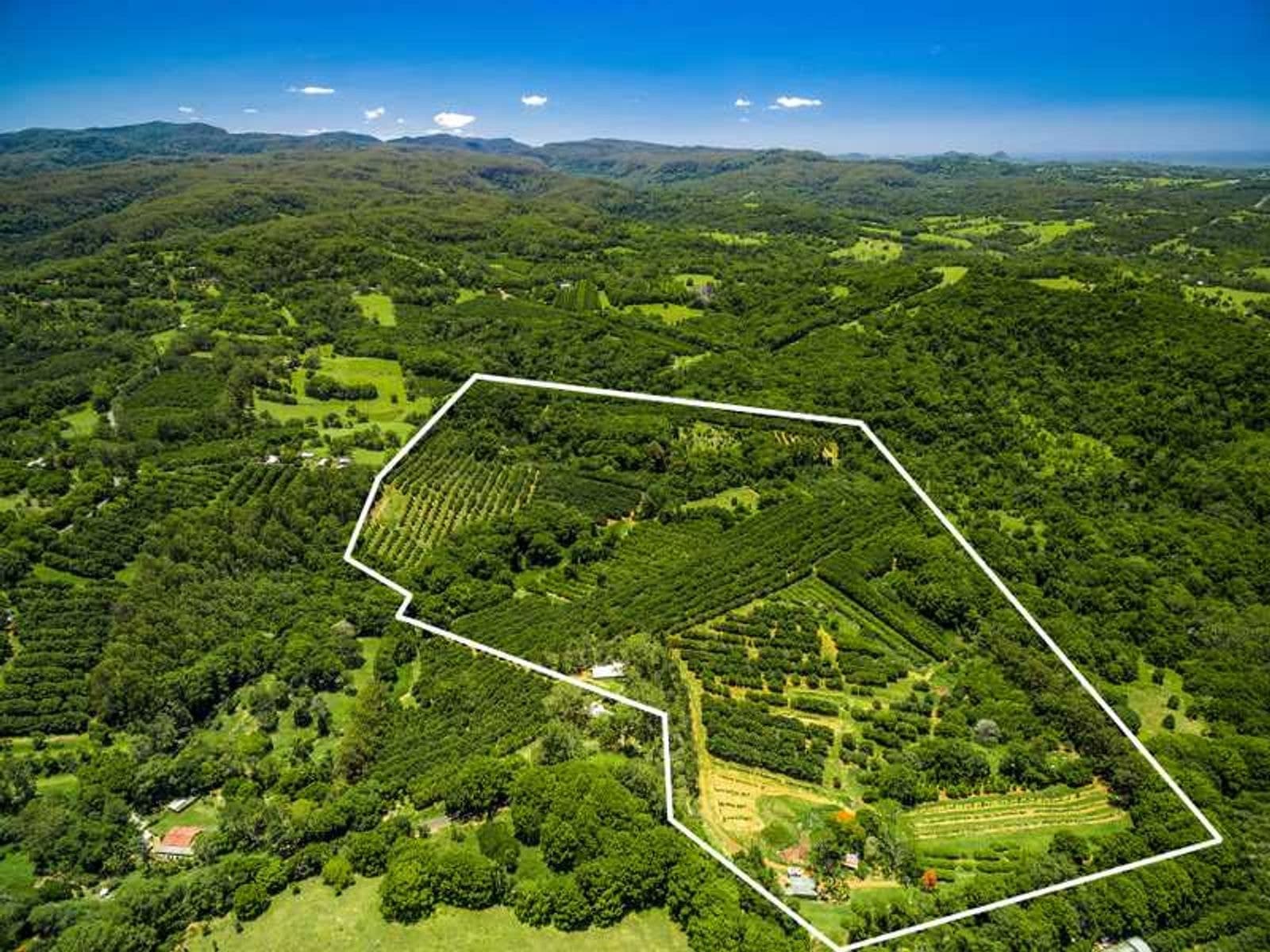 38 Eureka Road, Rosebank - Thumbnail 4