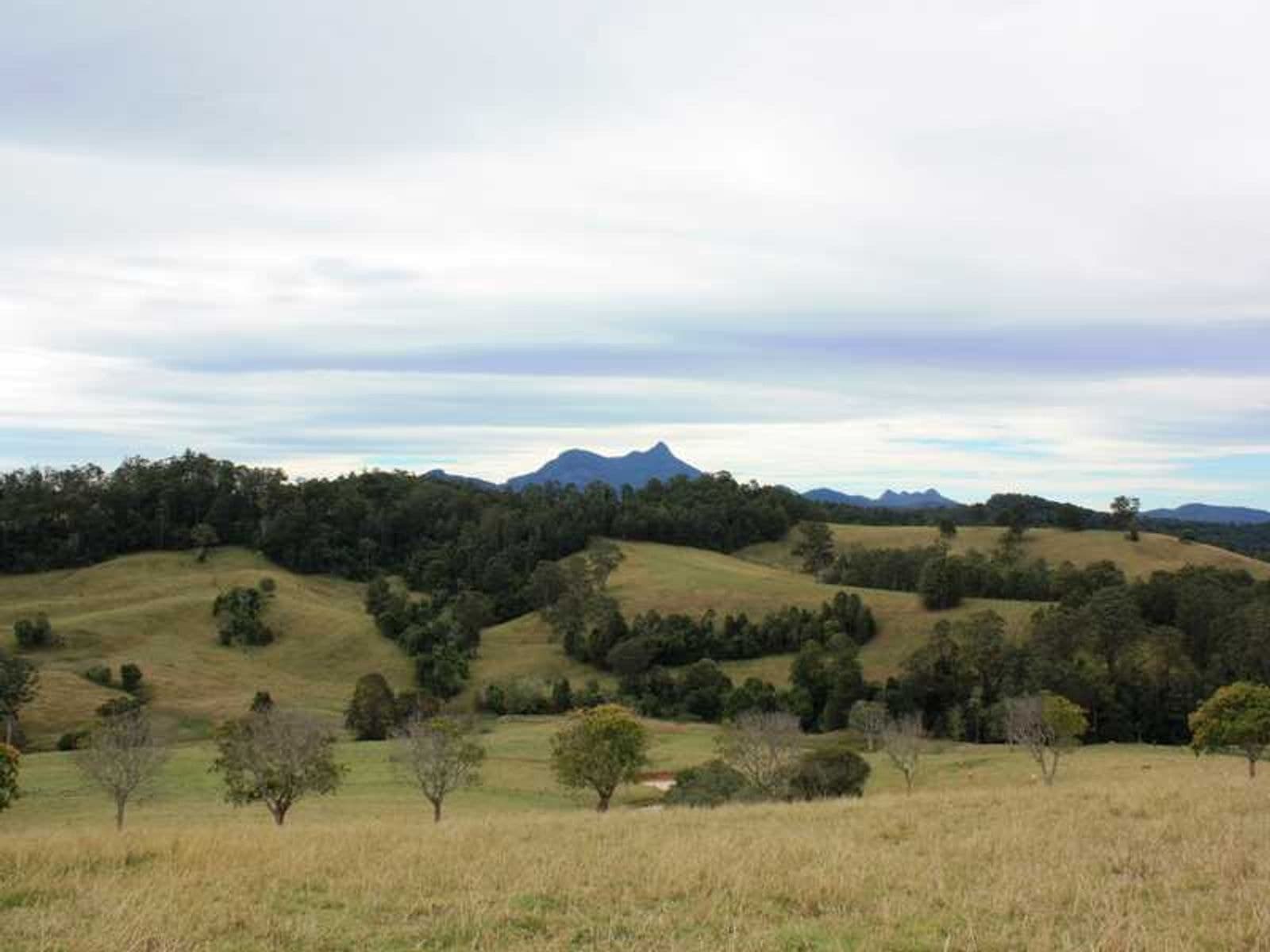 20 O'Briens Road, Mount Burrell - Thumbnail 4