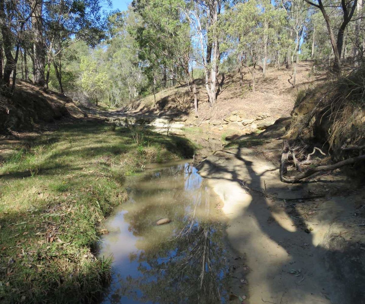 Lot 213 Bruxner Highway, Tabulam - Thumbnail 4