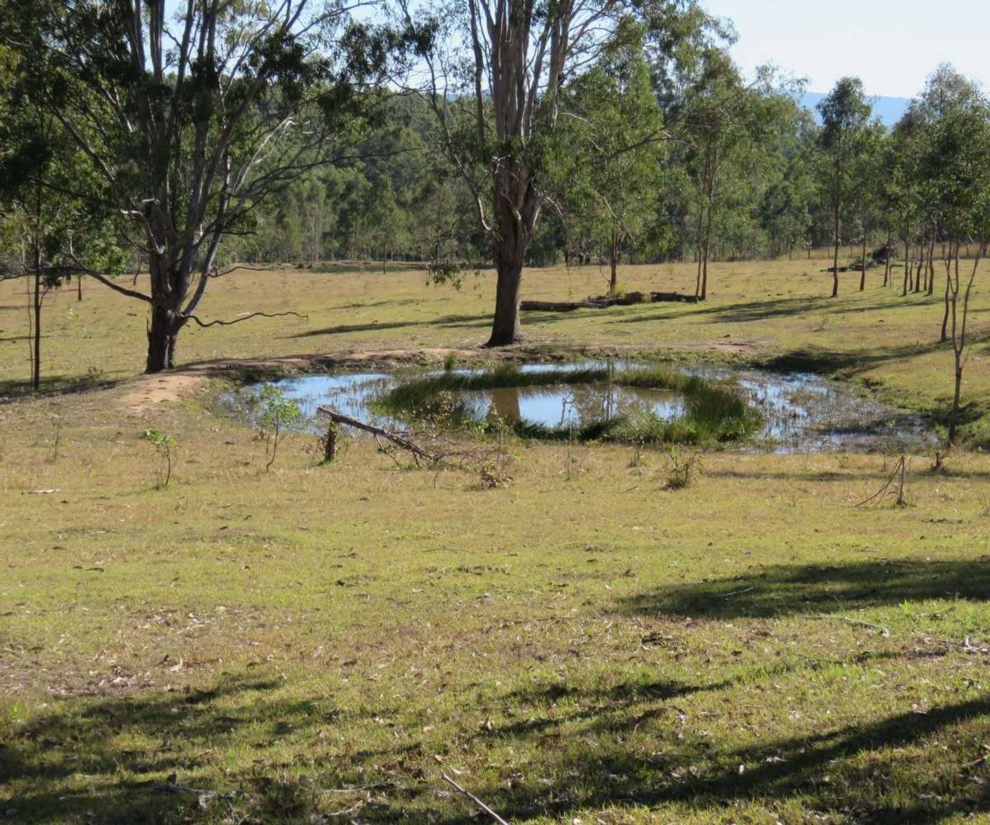 Lot 213 Bruxner Highway, Tabulam - Thumbnail 7