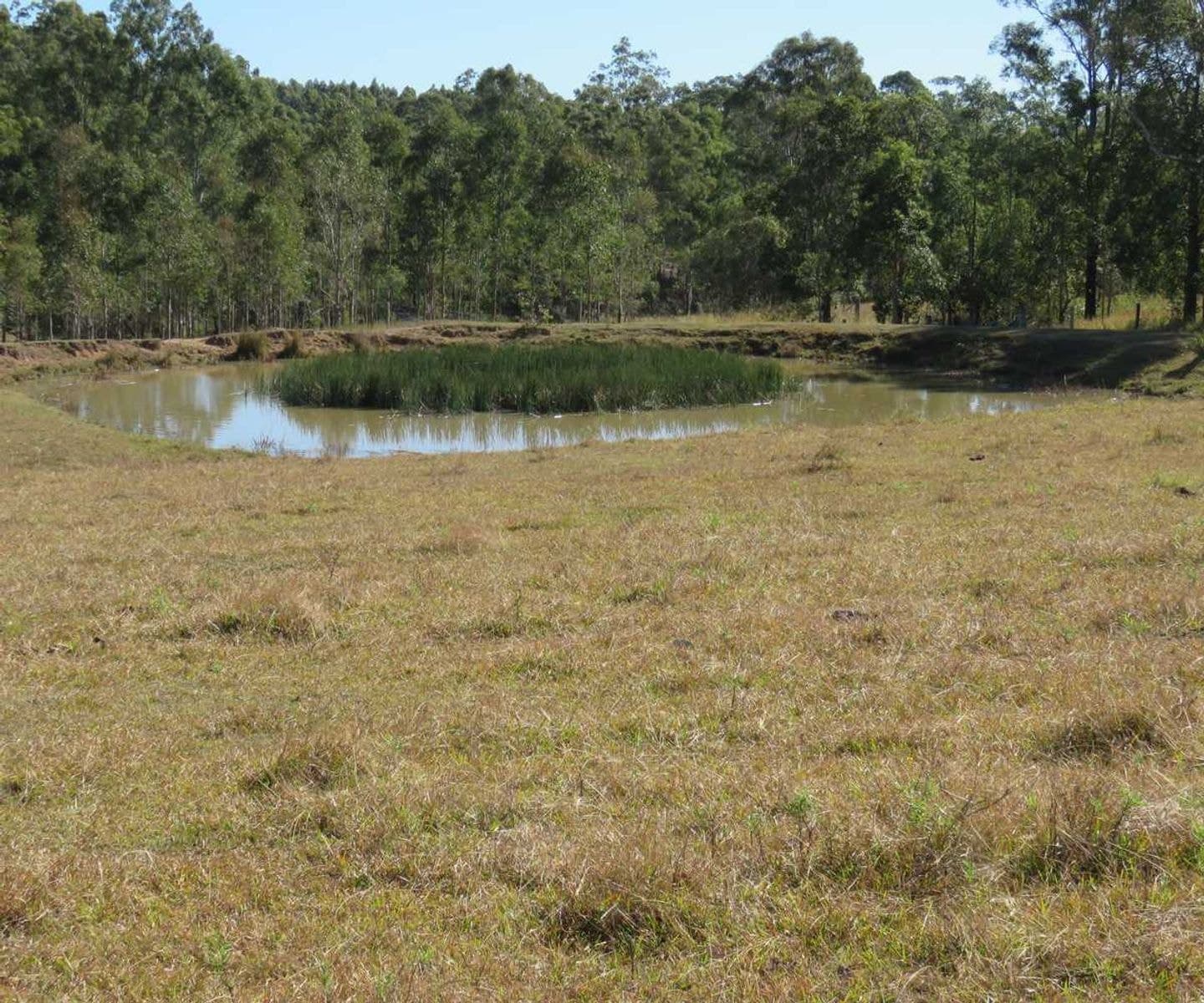 Lot 213 Bruxner Highway, Tabulam - Thumbnail 8